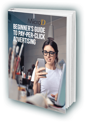 ppc-beginners-guide-ebook-original